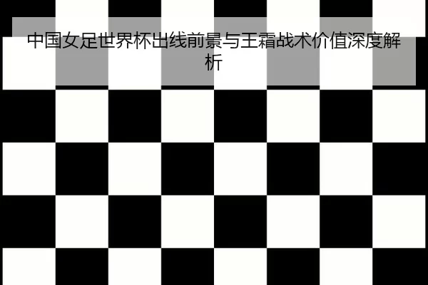 中国女足世界杯出线前景与王霜战术价值深度解析