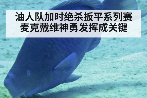 油人队加时绝杀扳平系列赛 麦克戴维神勇发挥成关键