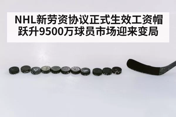 NHL新劳资协议正式生效工资帽跃升9500万球员市场迎来变局
