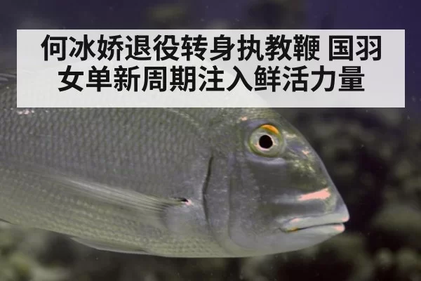何冰娇退役转身执教鞭 国羽女单新周期注入鲜活力量