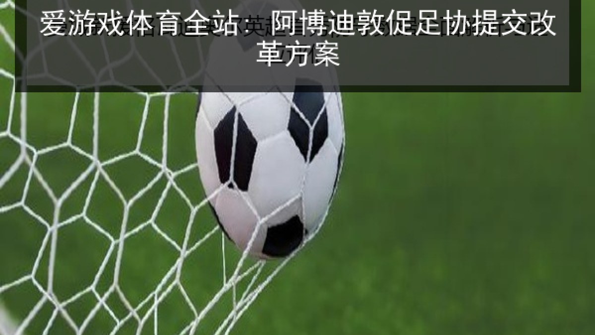 爱游戏体育全站: 阿博迪敦促足协提交改革方案